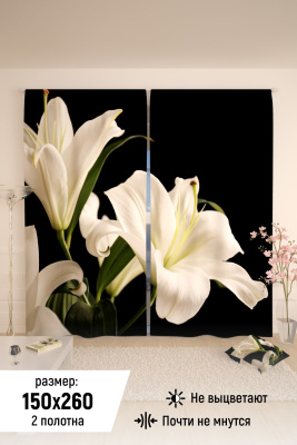 9cd2a7fc-e681-47da-8e28-cabb089b3964