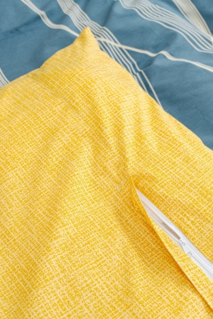 c1d8fca0-bd60-4b69-8c14-4cd178823488